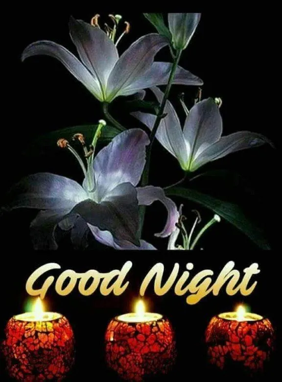 Good Night Images 2024 | Indus Appstore | Screenshot