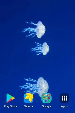 Jellyfish Wallpapers | Indus Appstore | Screenshot