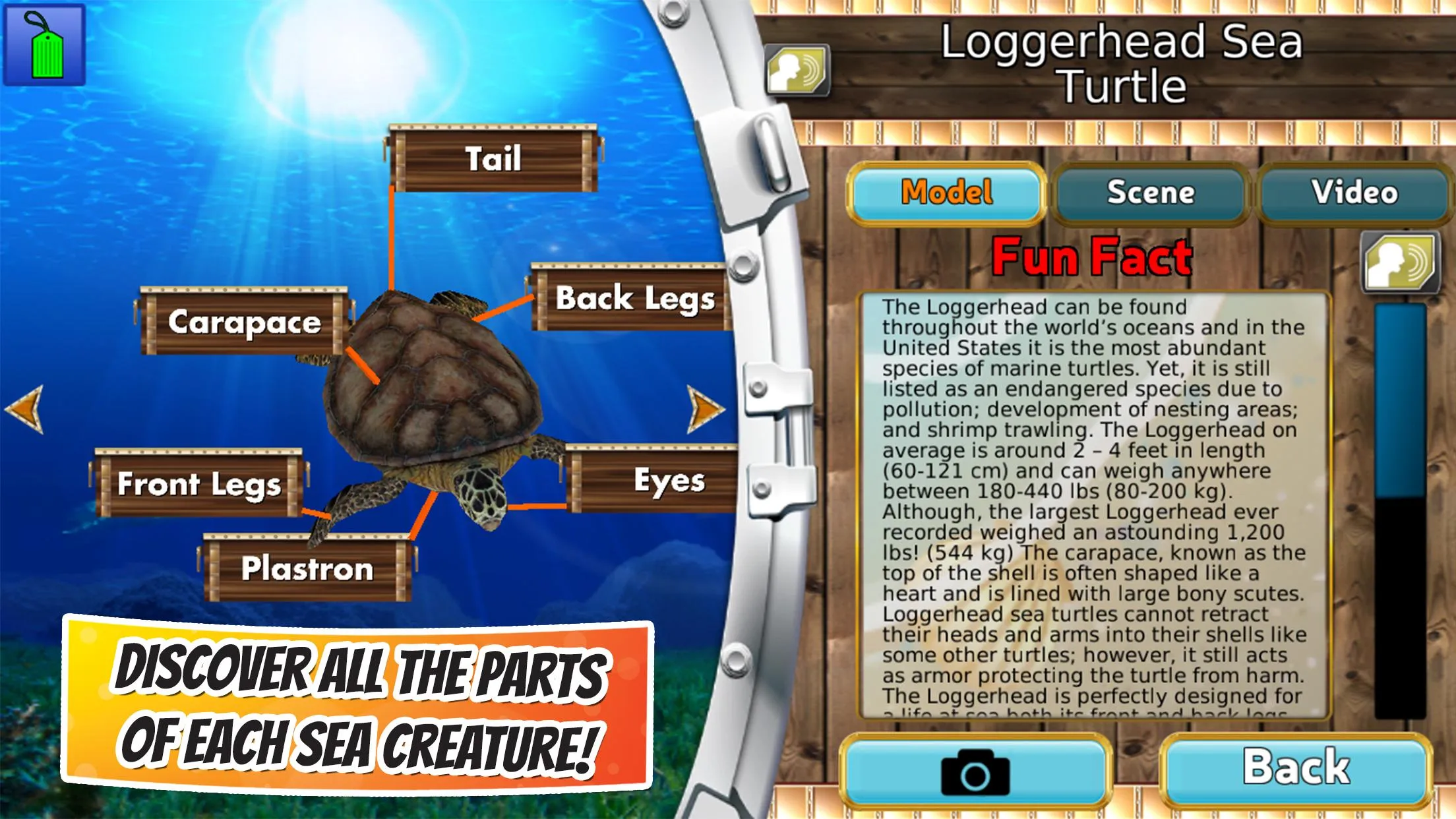 Popar Sea Life | Indus Appstore | Screenshot