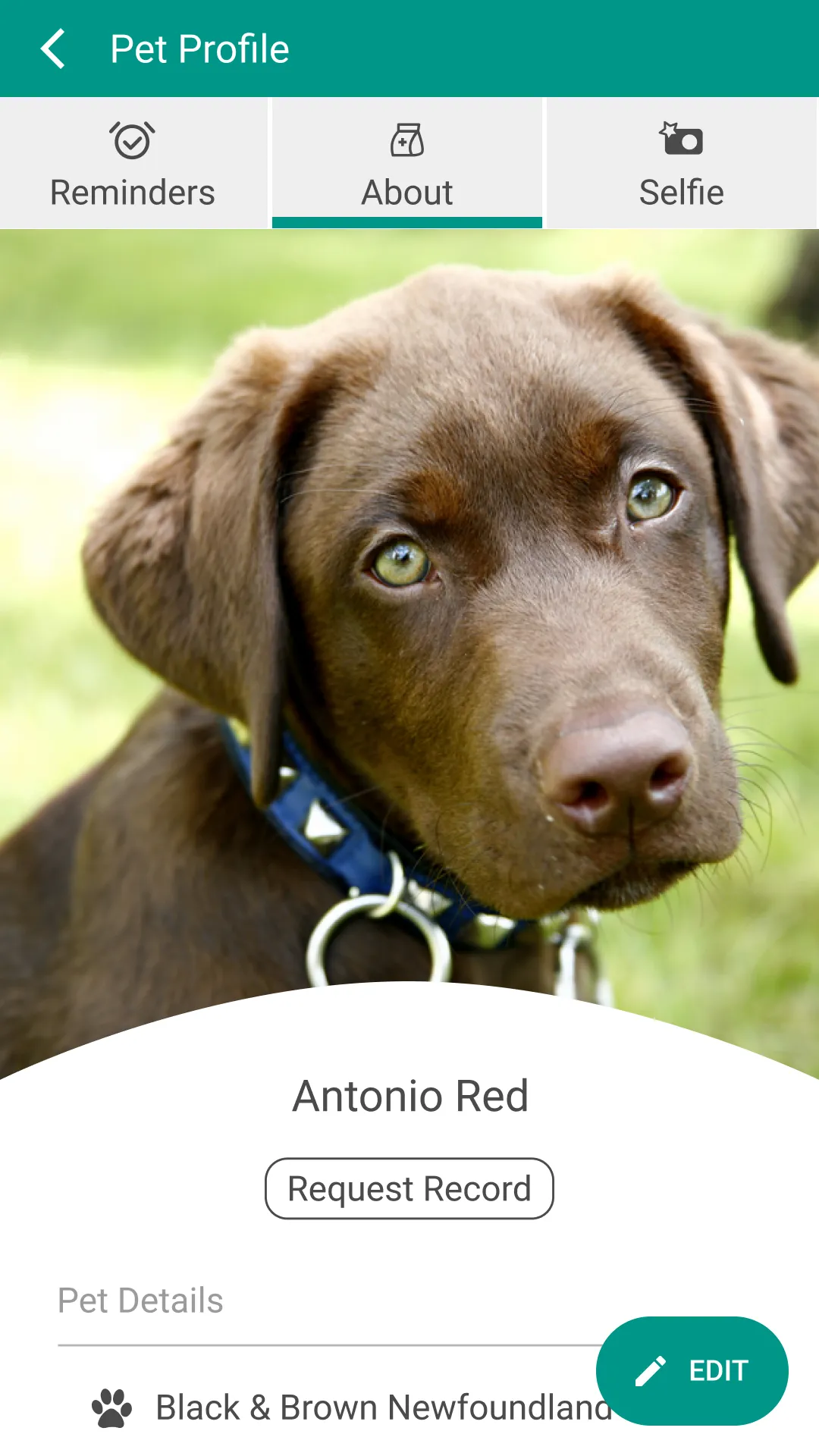 Alpine Animal Hospital | Indus Appstore | Screenshot