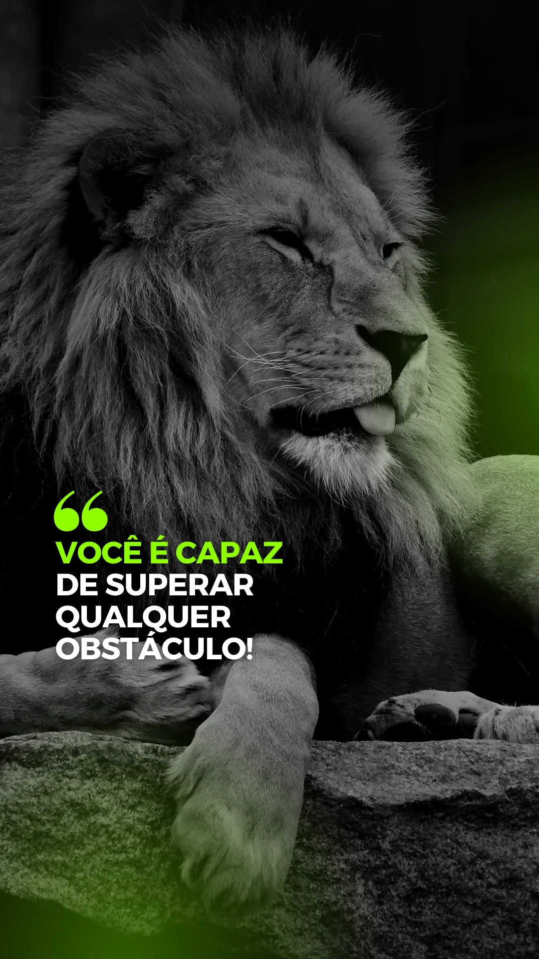 Frases de Motivação e Reflexão | Indus Appstore | Screenshot