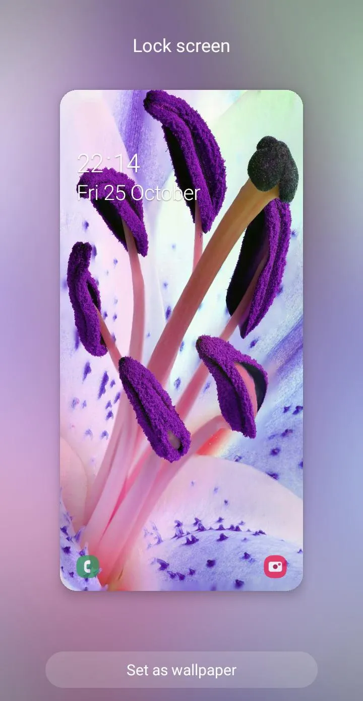 Flowers Wallpaper | Indus Appstore | Screenshot