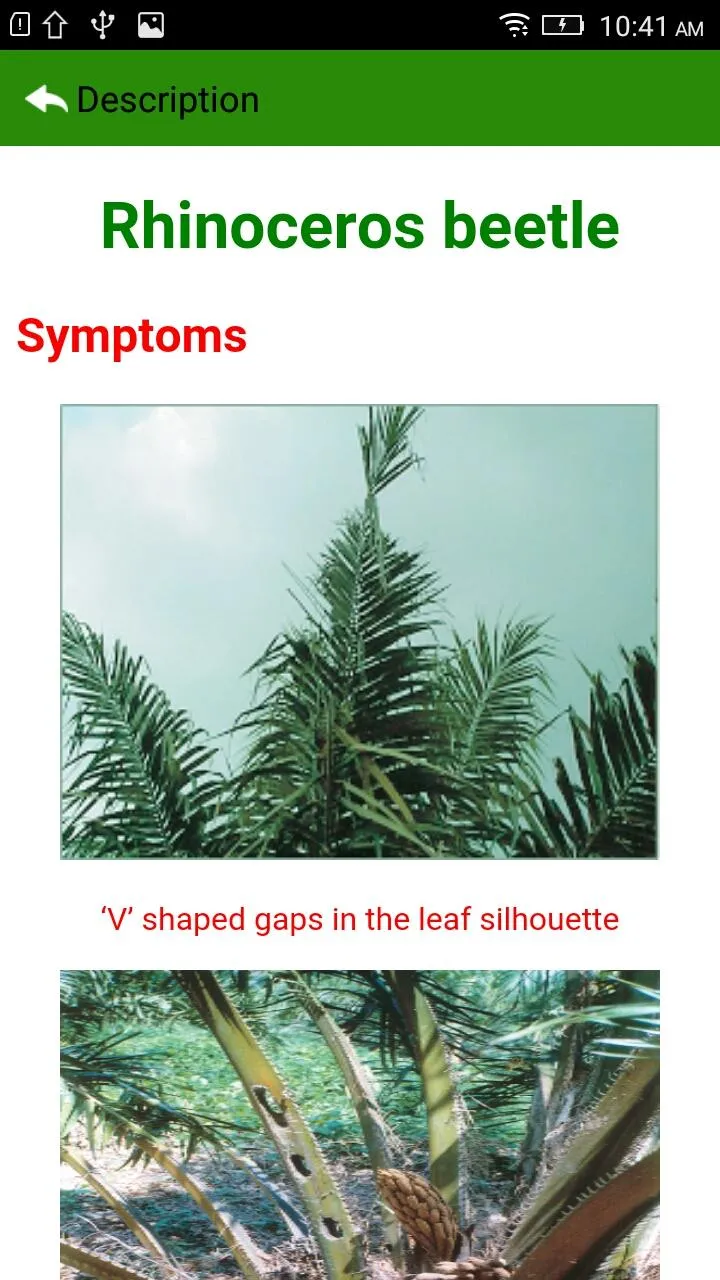 Oil Palm Pests English | Indus Appstore | Screenshot