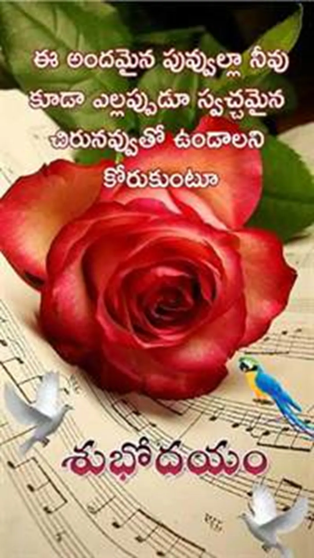 Morning Greeting Quotes Telugu | Indus Appstore | Screenshot