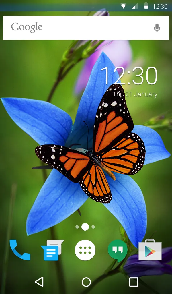 Butterfly Live Wallpaper Theme | Indus Appstore | Screenshot