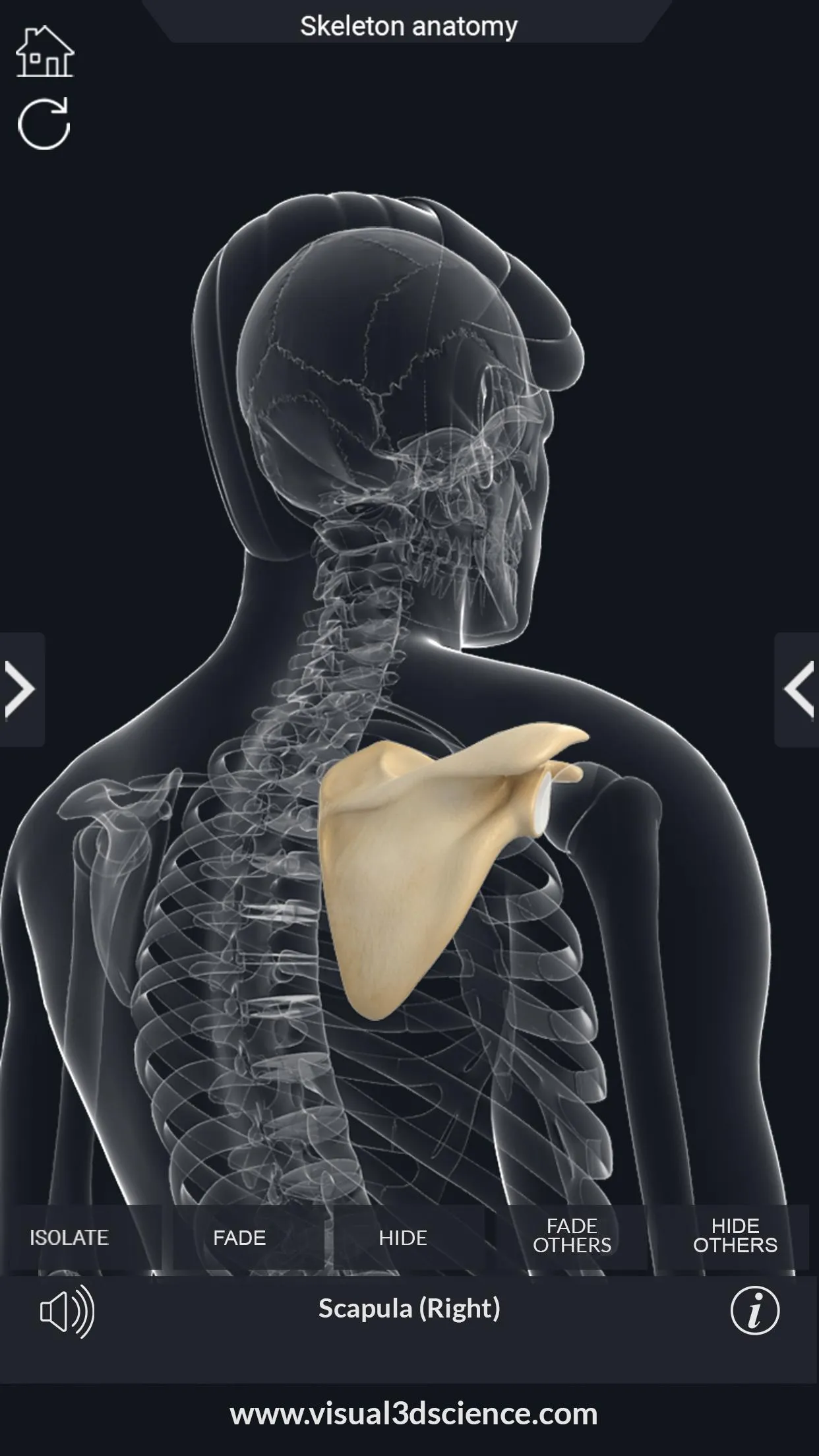 Skeleton Anatomy Pro. | Indus Appstore | Screenshot