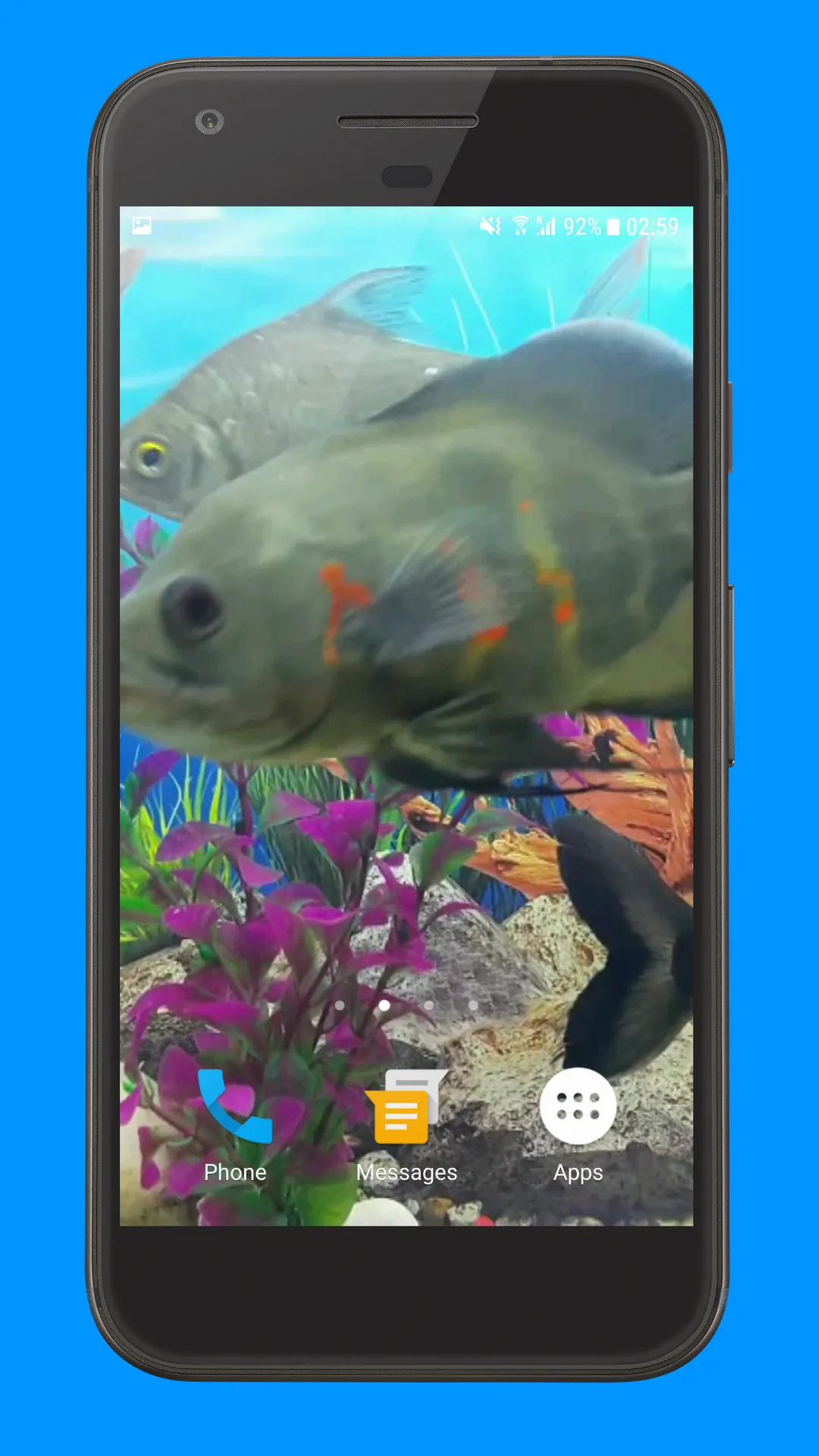 Oscar Fish Aquarium Video 3D | Indus Appstore | Screenshot