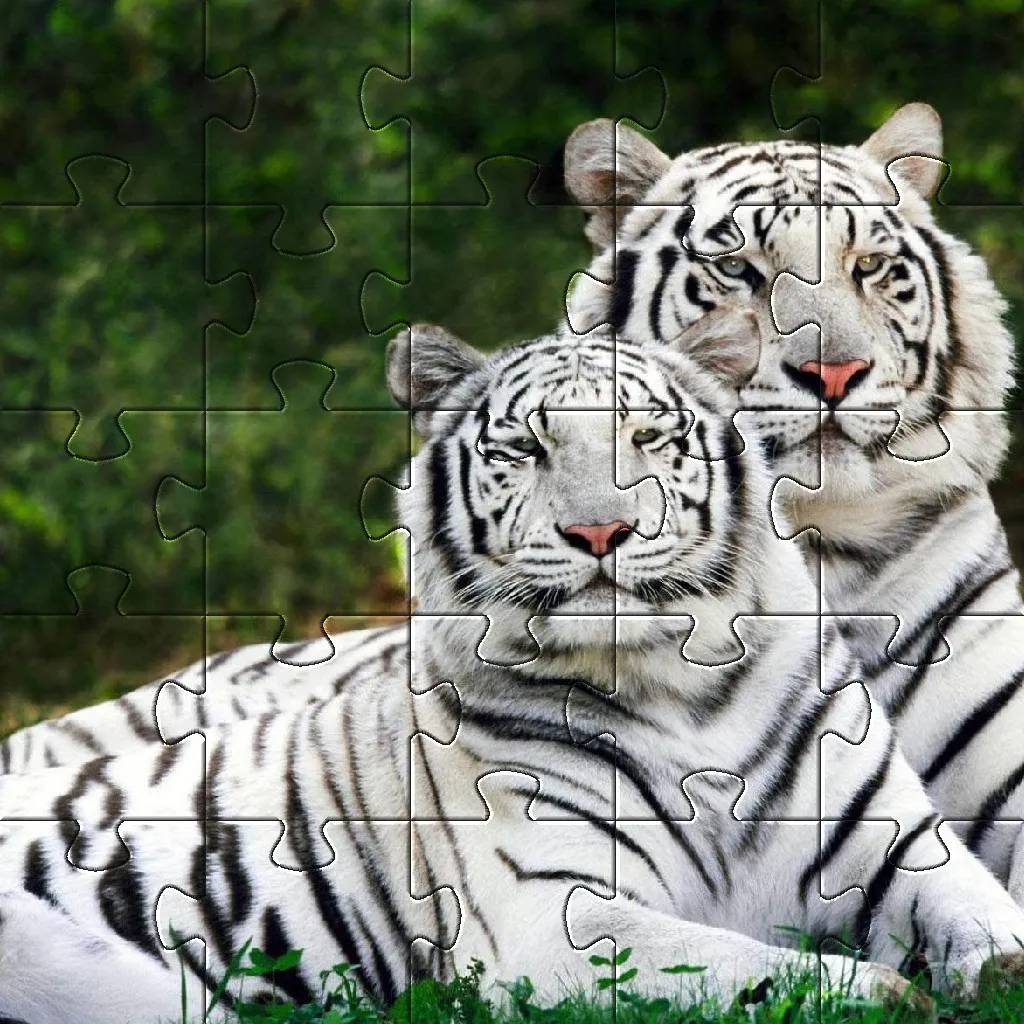 Tiger Jigsaw Puzzles  Games | Indus Appstore | Screenshot