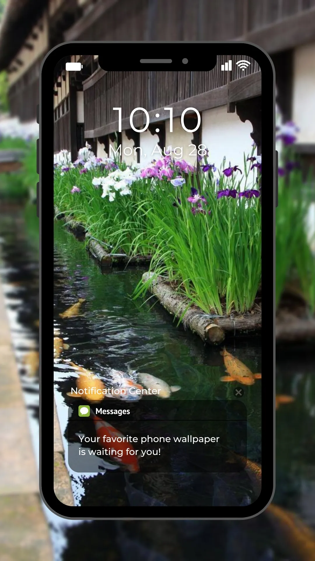 Water Garden Live Wallpaper | Indus Appstore | Screenshot