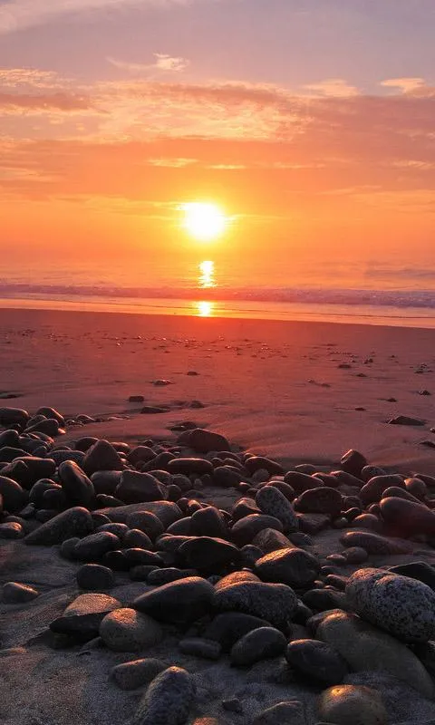 Ocean Sunset Live Wallpaper | Indus Appstore | Screenshot