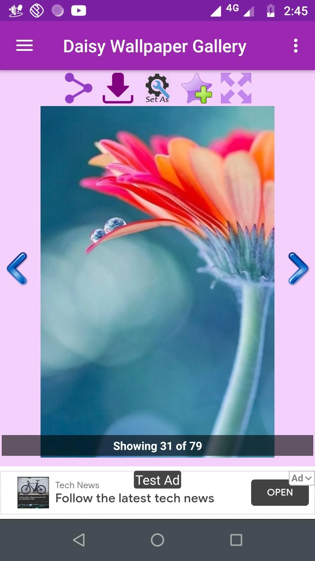 Daisy Wallpaper Gallery | Indus Appstore | Screenshot