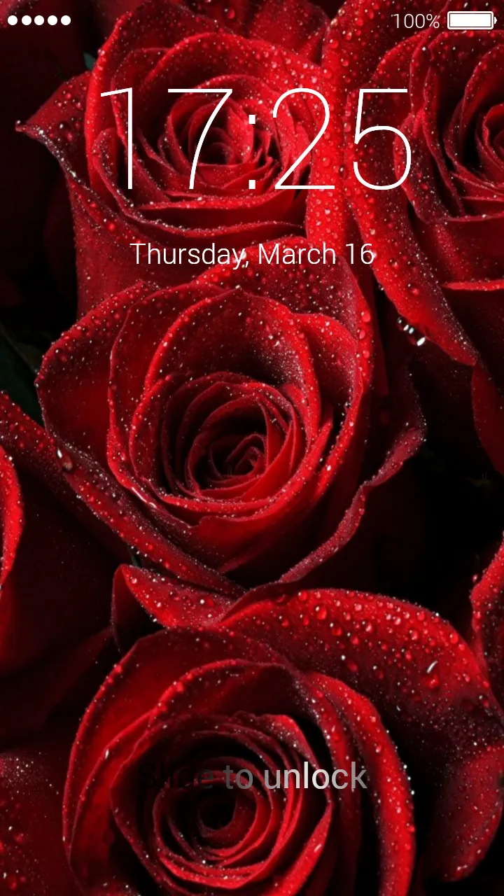 Roses Live Wallpapers | Indus Appstore | Screenshot