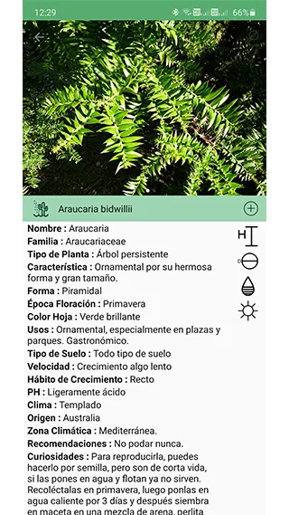 Plantsss | Indus Appstore | Screenshot