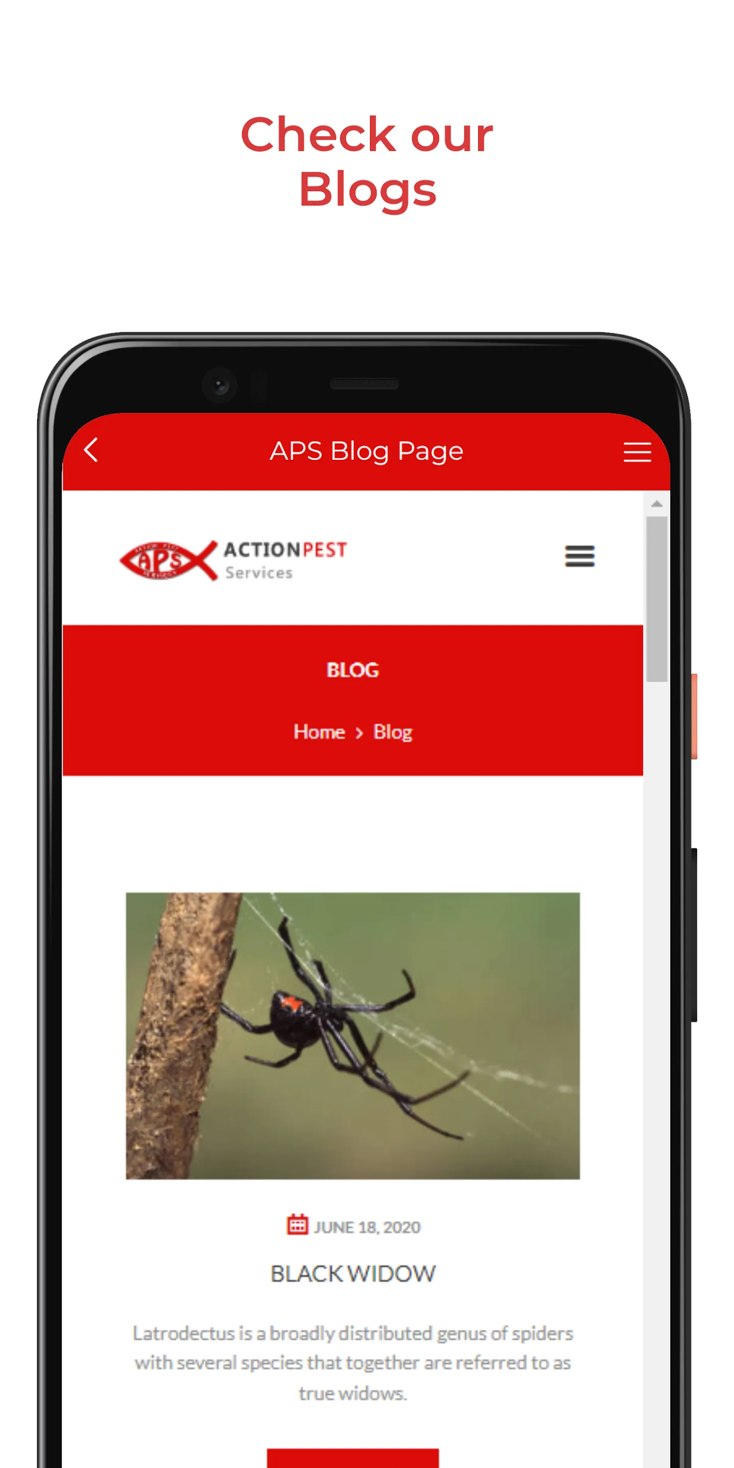 Action Pest Services | Indus Appstore | Screenshot