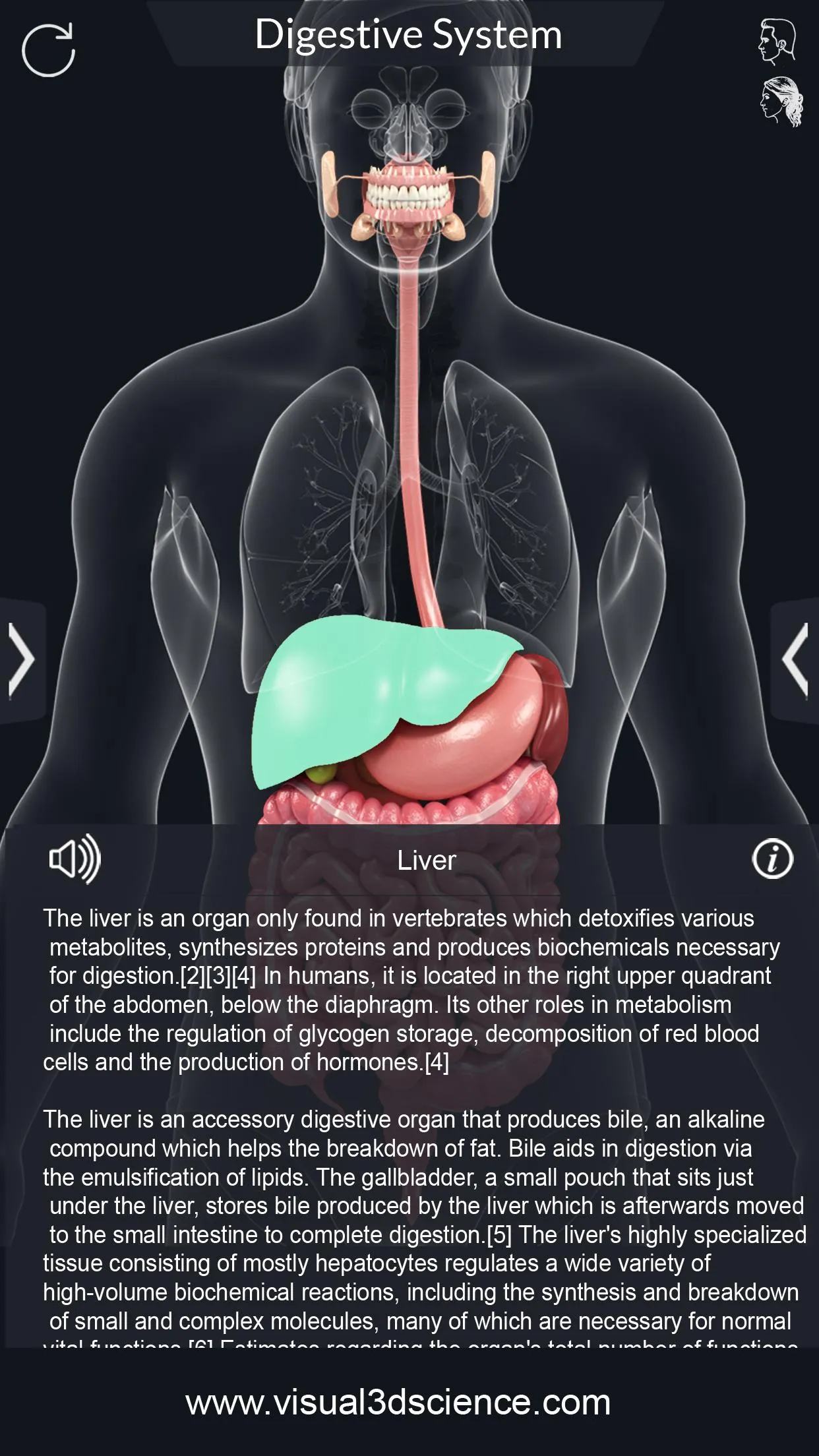 Digestive System | Indus Appstore | Screenshot