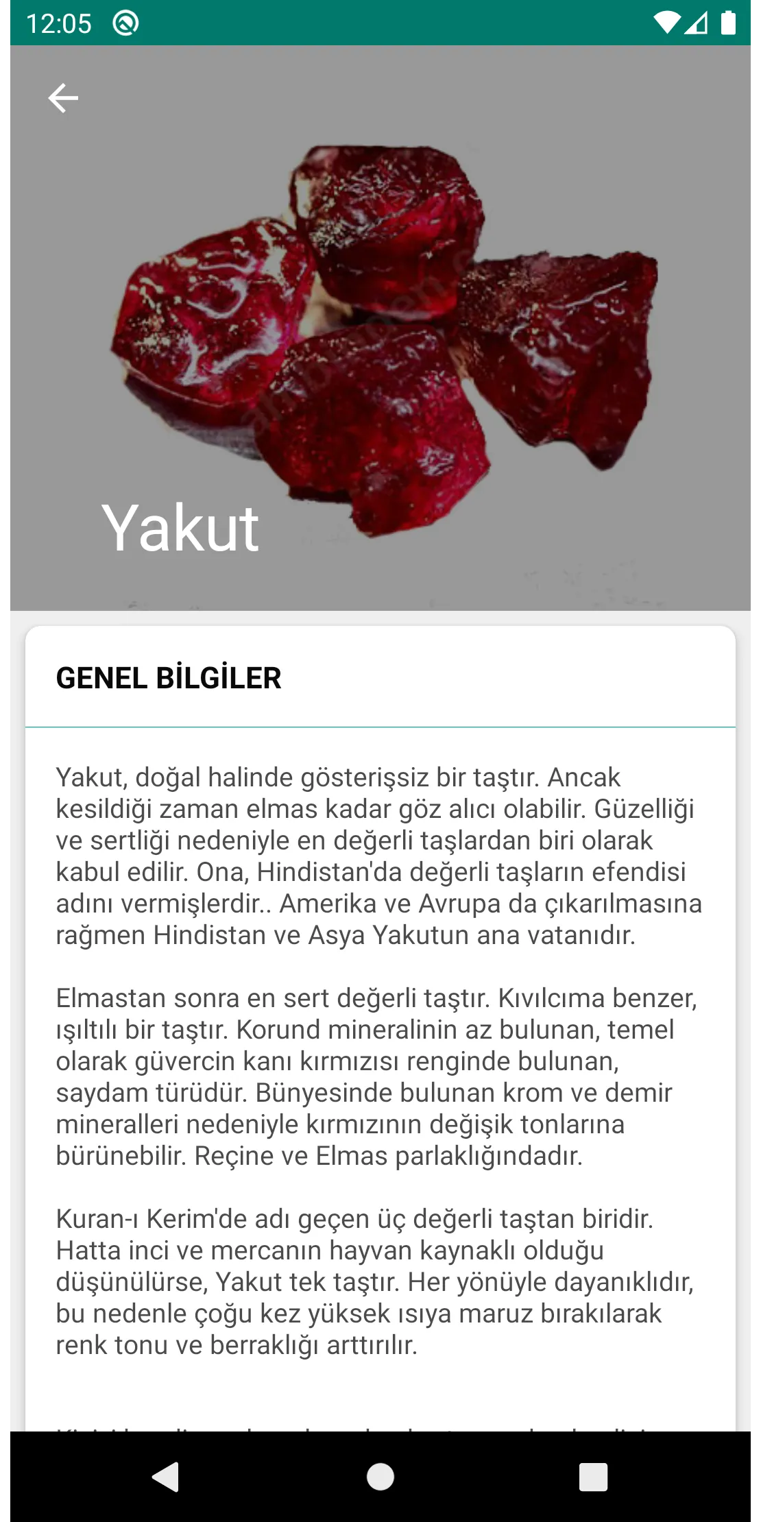 Taş Devri: Şifalı Taşlar | Indus Appstore | Screenshot