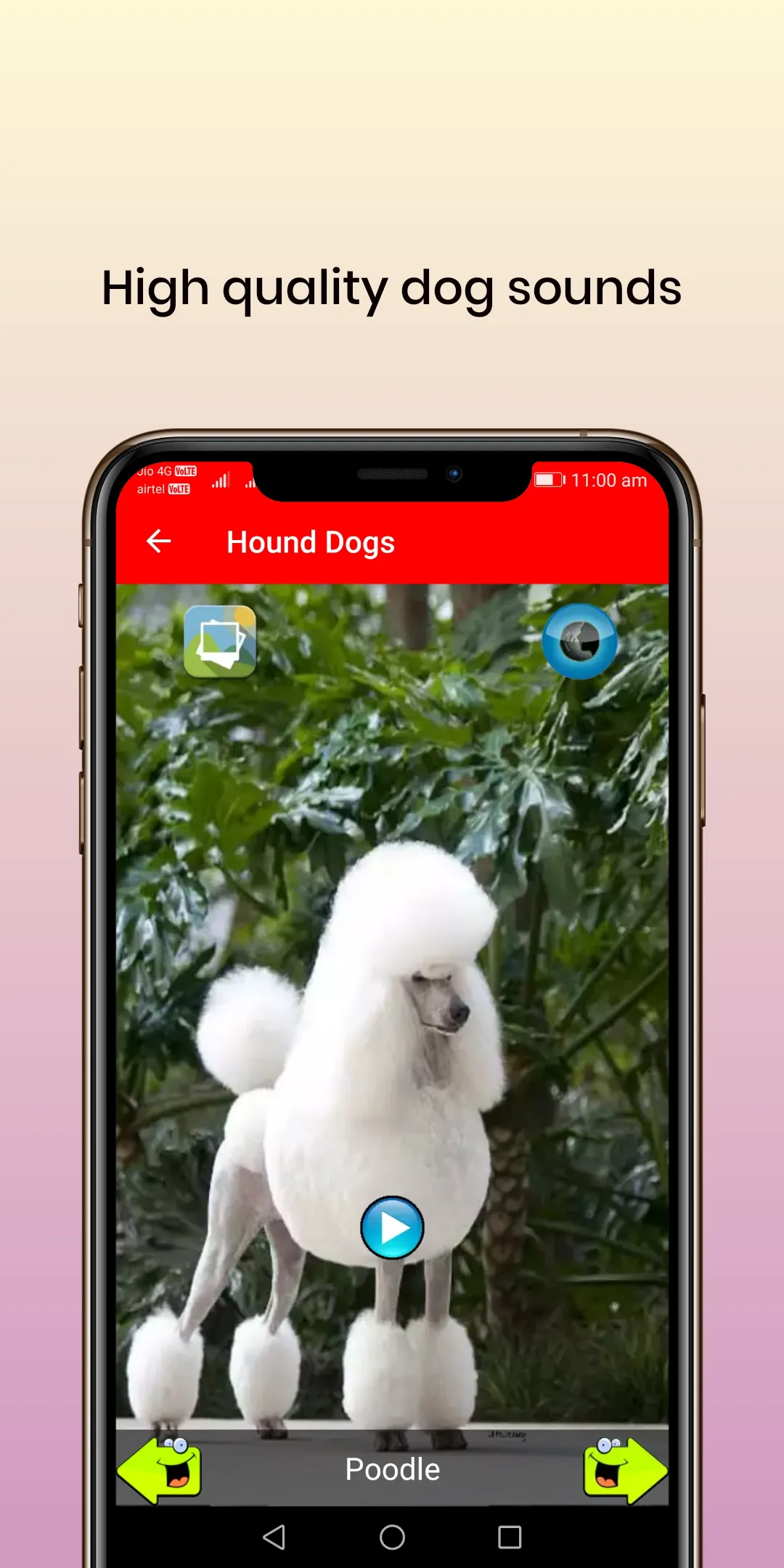 50 Dog sounds | Indus Appstore | Screenshot