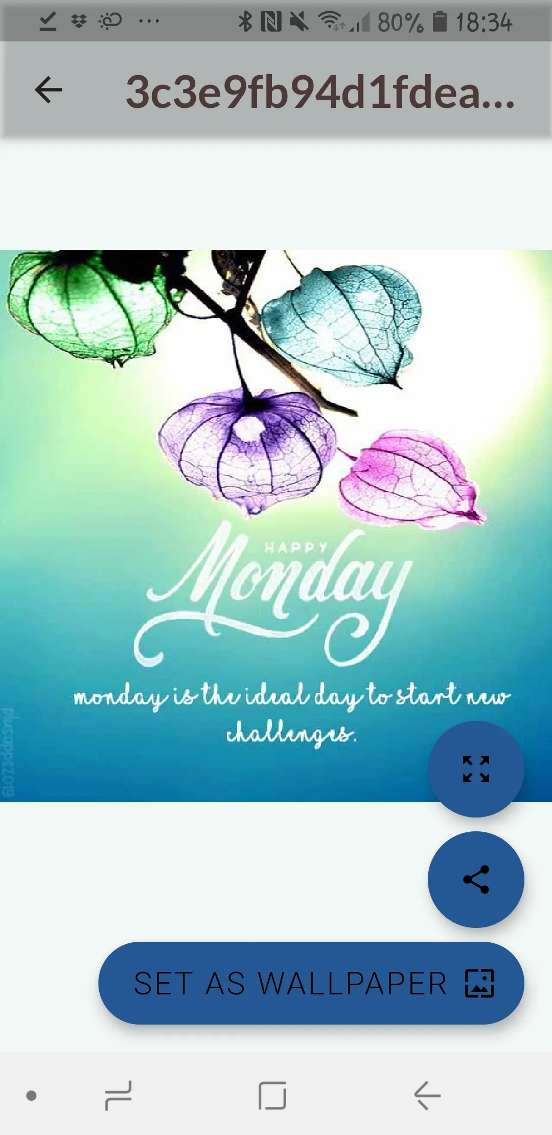 HELLO MONDAY | Indus Appstore | Screenshot