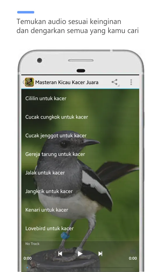 masteran kacer juara full isi | Indus Appstore | Screenshot