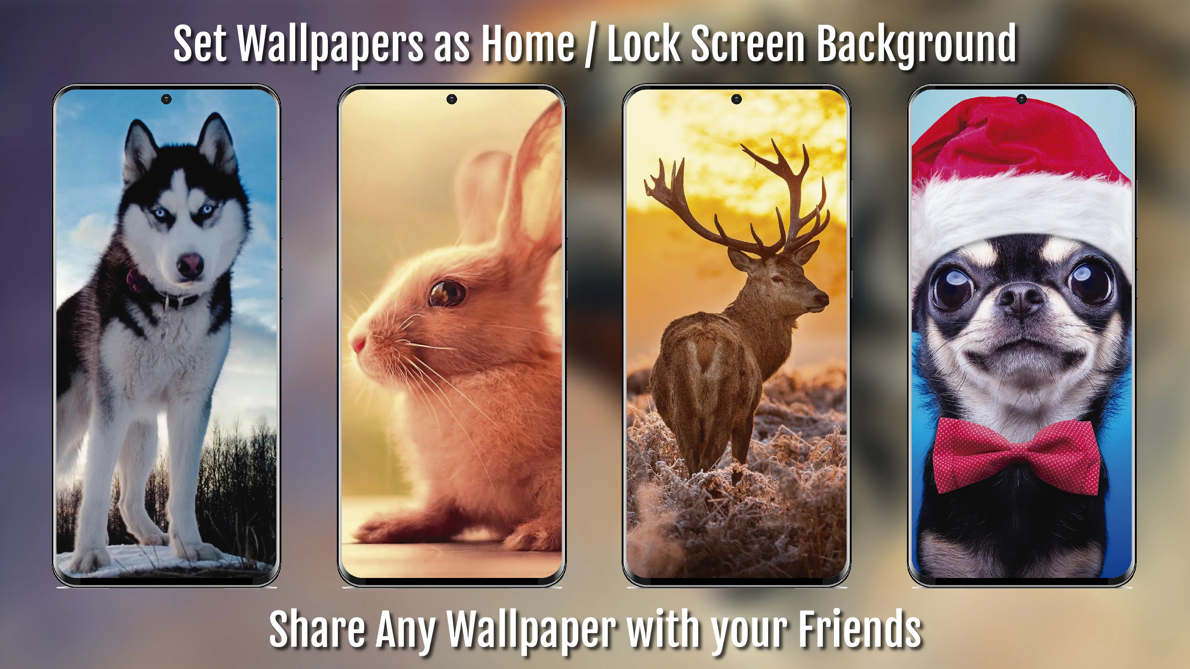 Animal Wallpapers Full HD / 4K | Indus Appstore | Screenshot