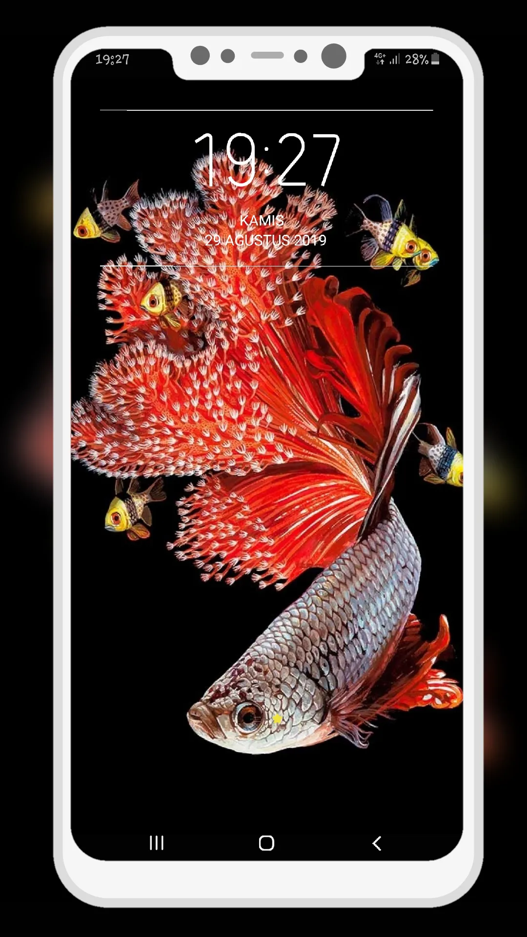 Betta Fish Wallpapers | Indus Appstore | Screenshot