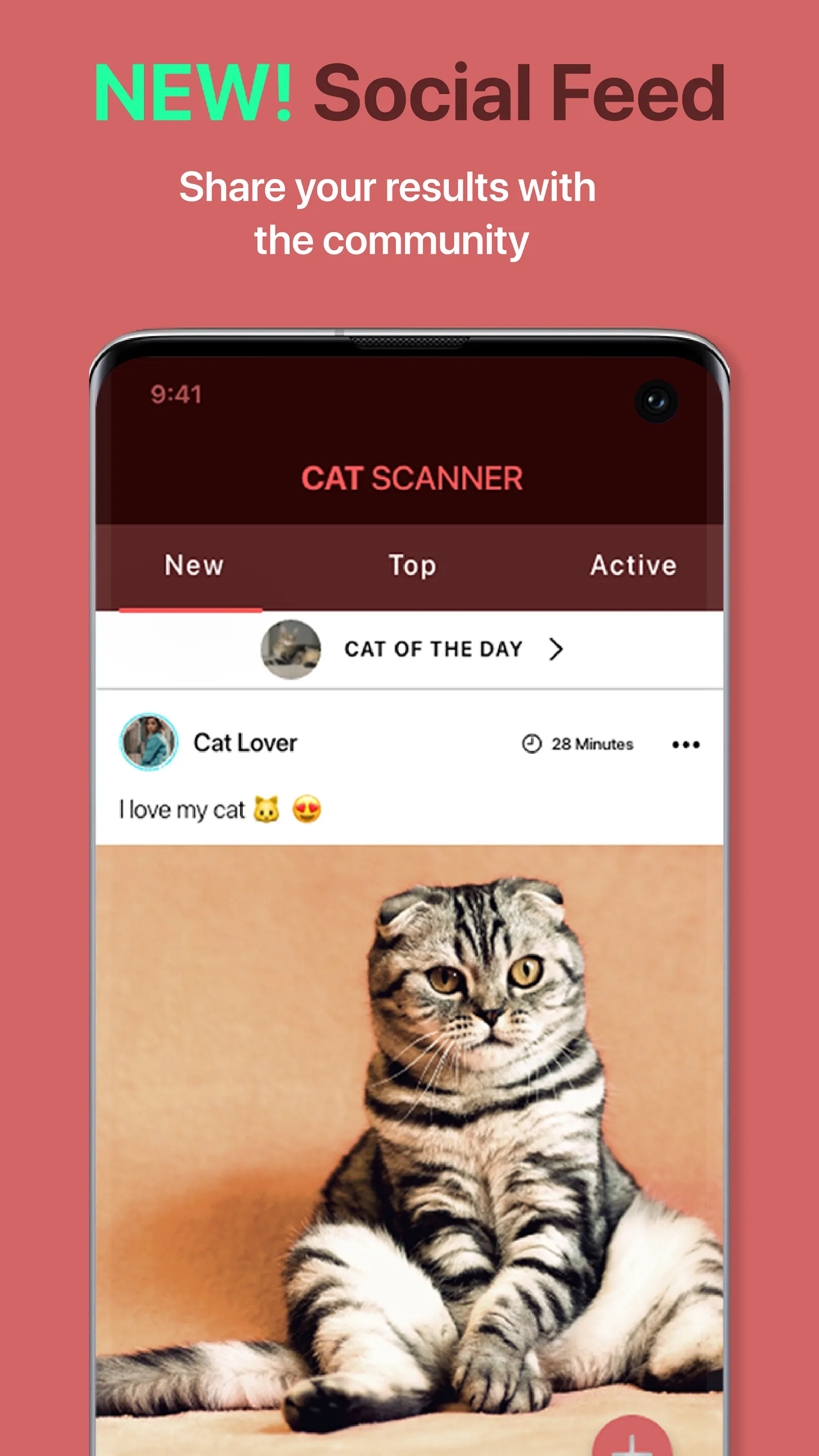 Cat Scanner: Breed Recognition | Indus Appstore | Screenshot