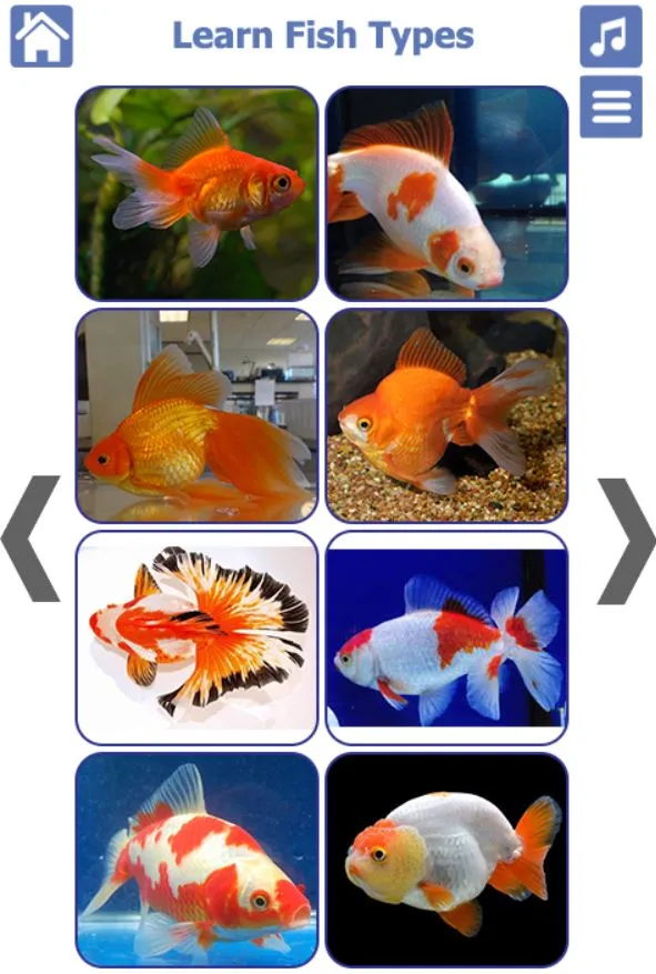 Fish Types | Goldfish Saltwate | Indus Appstore | Screenshot