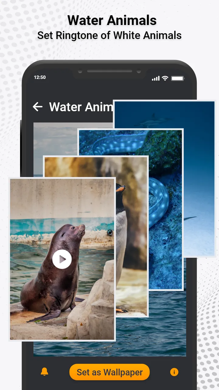 Animal Ringtones & Sounds | Indus Appstore | Screenshot