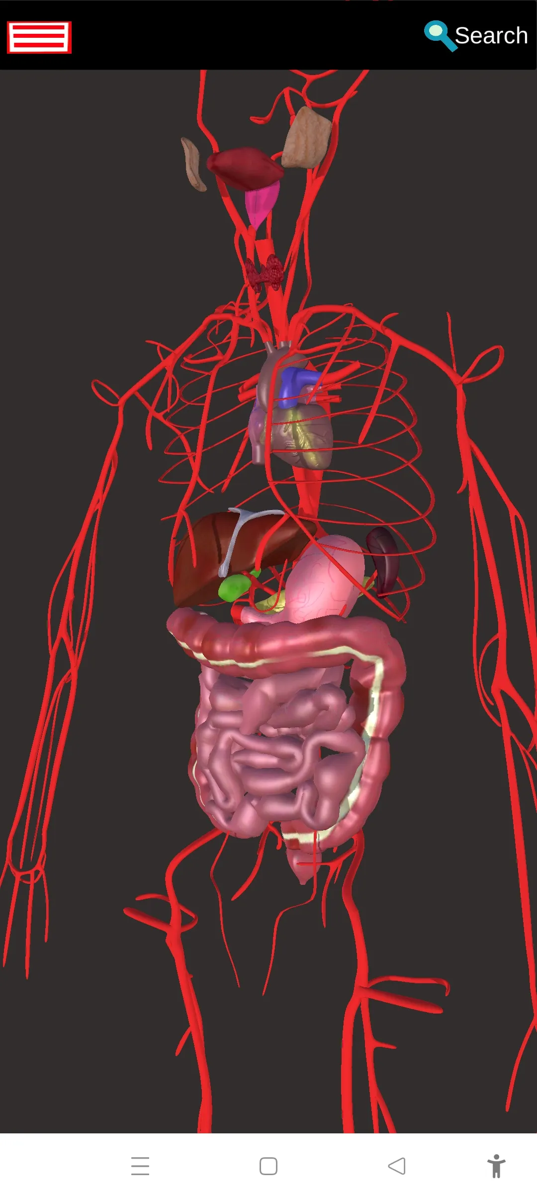 Human Anatomy -3D Atlas | Indus Appstore | Screenshot
