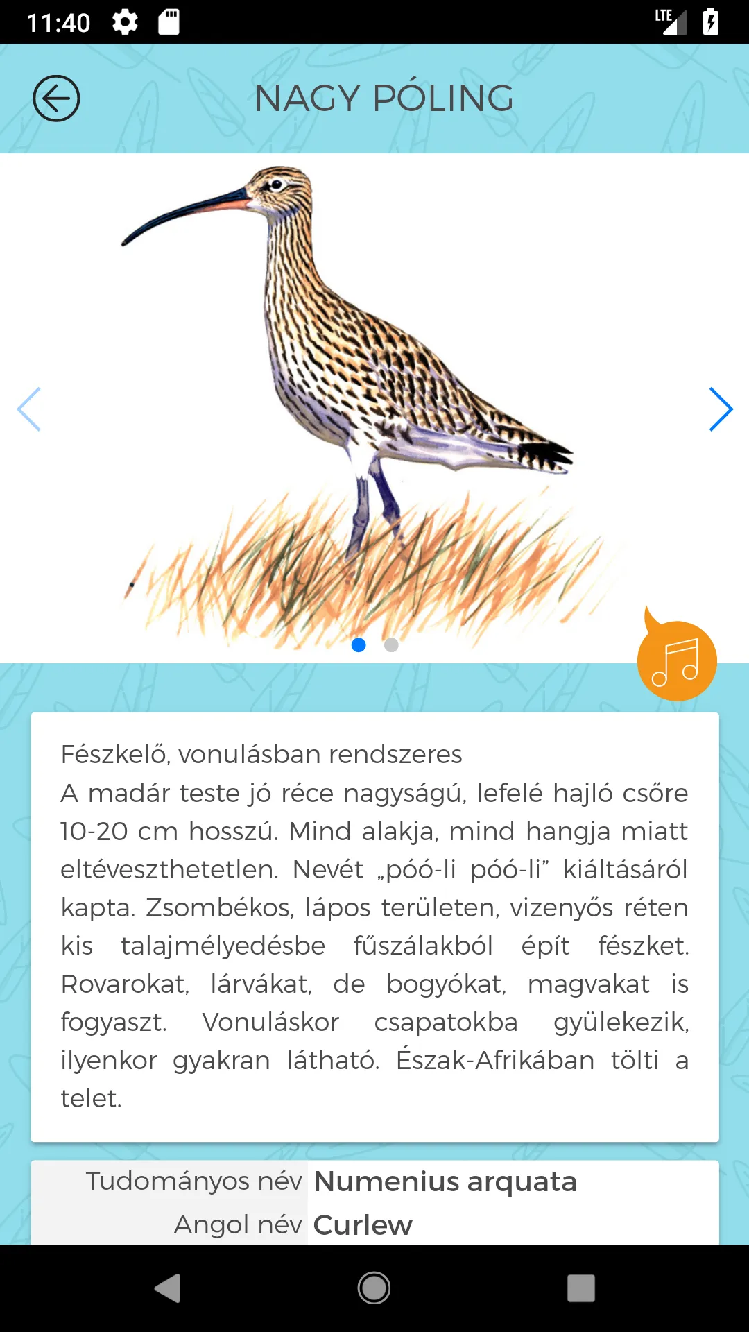 Madárhatározó | Indus Appstore | Screenshot