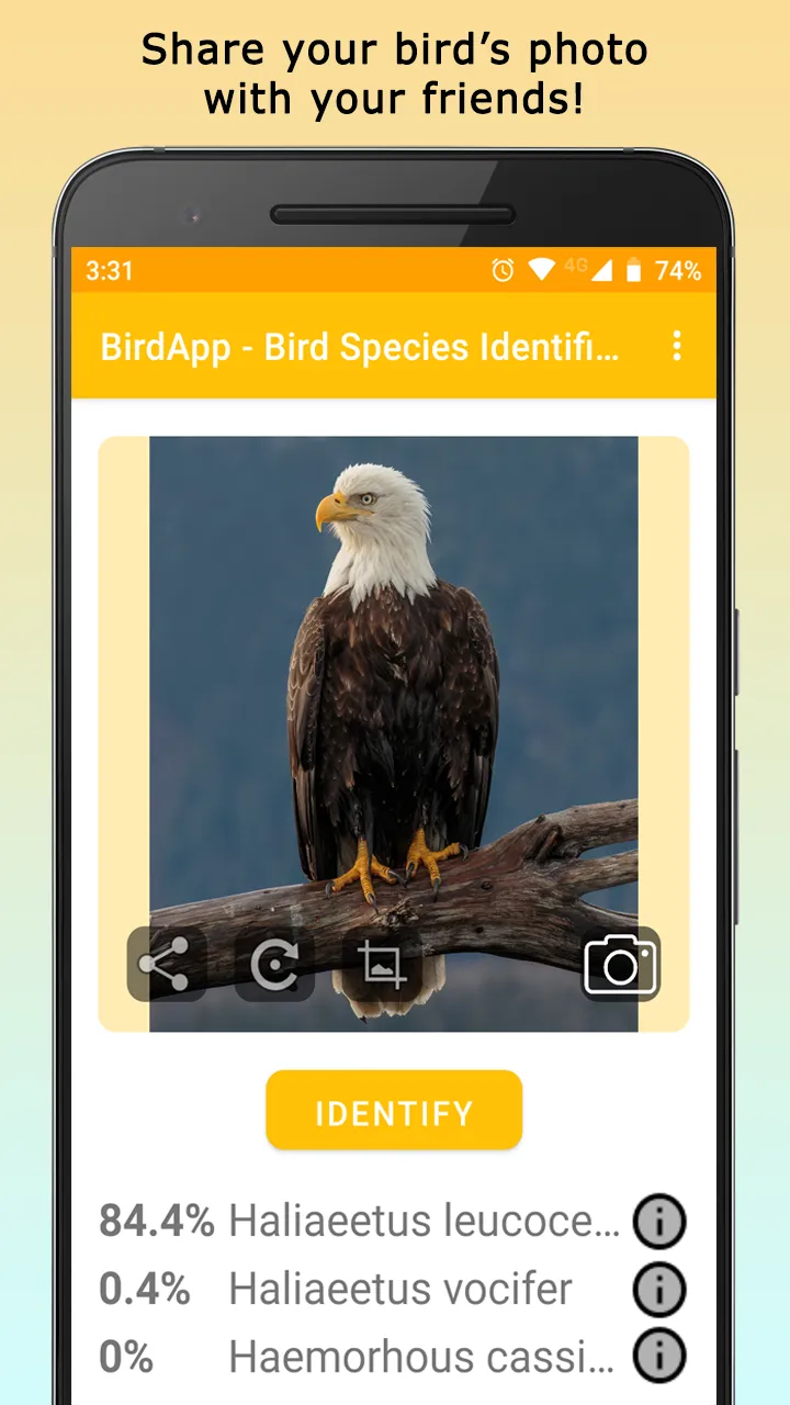 BirdsID - Identify Birds | Indus Appstore | Screenshot