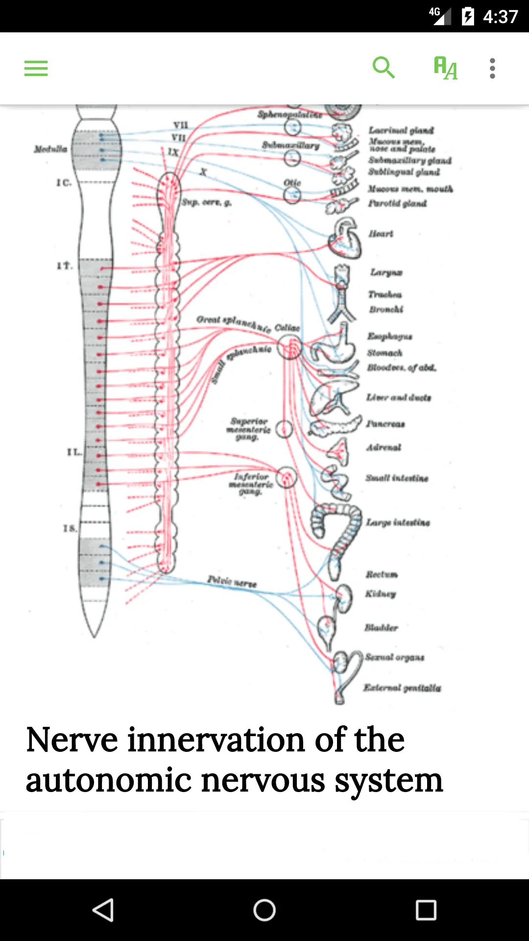 Anatomy & Physiology Textbook | Indus Appstore | Screenshot