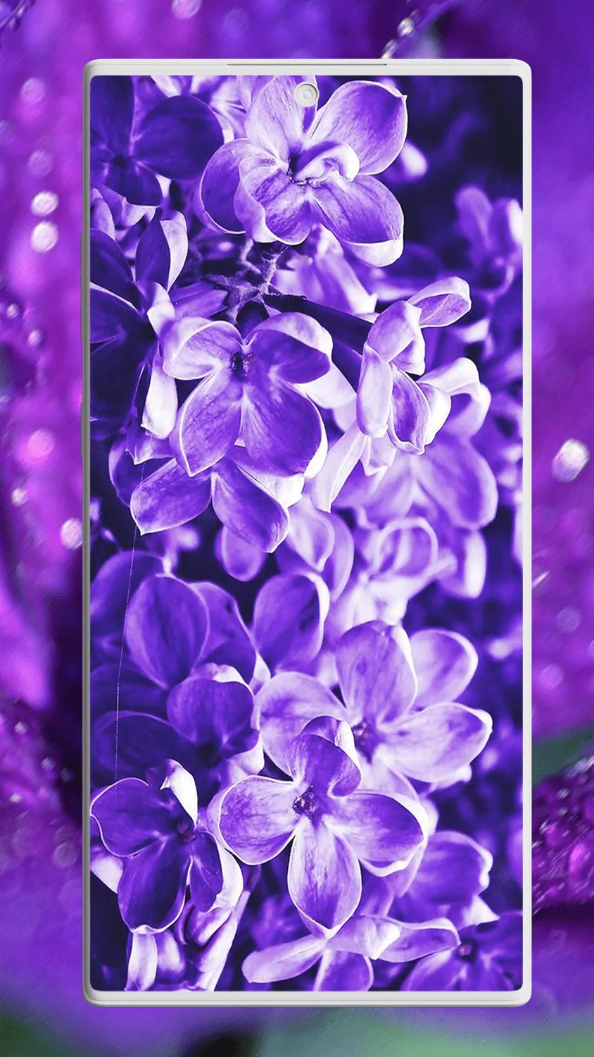 Flower Wallpapers | Indus Appstore | Screenshot