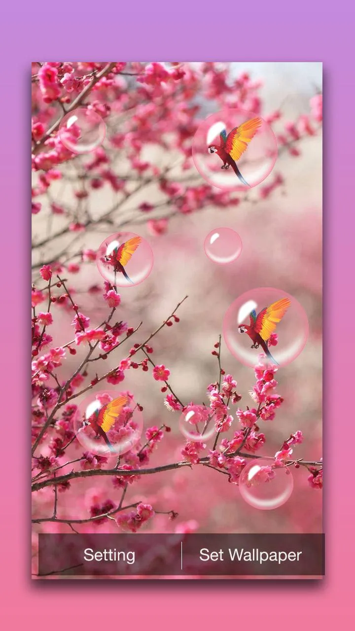 Sakura Live Wallpaper | Indus Appstore | Screenshot