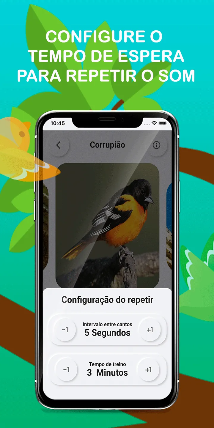 Bird sounds suffered Brazil | Indus Appstore | Screenshot