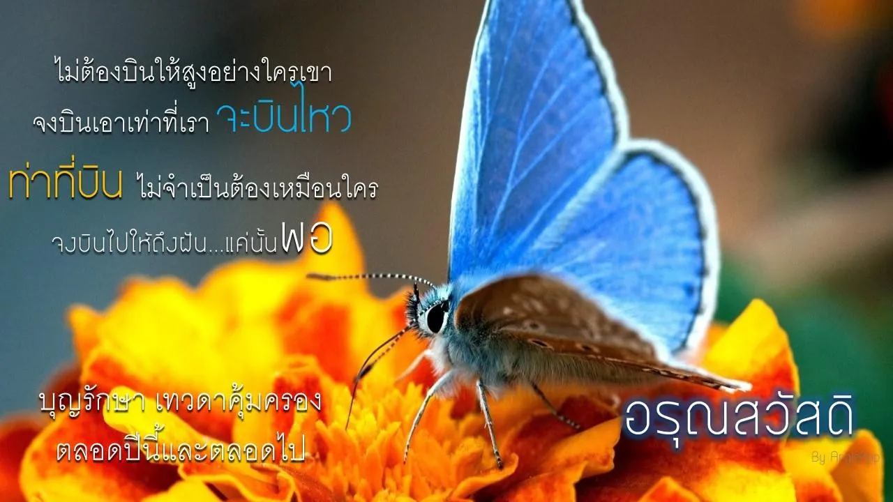 สวัสดีอรุณสวัสดิ์ | Indus Appstore | Screenshot