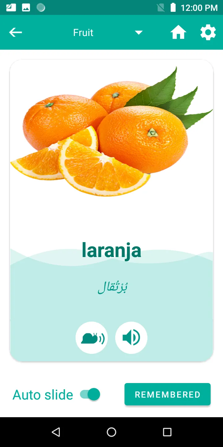 Arabic Portuguese Translator | Indus Appstore | Screenshot