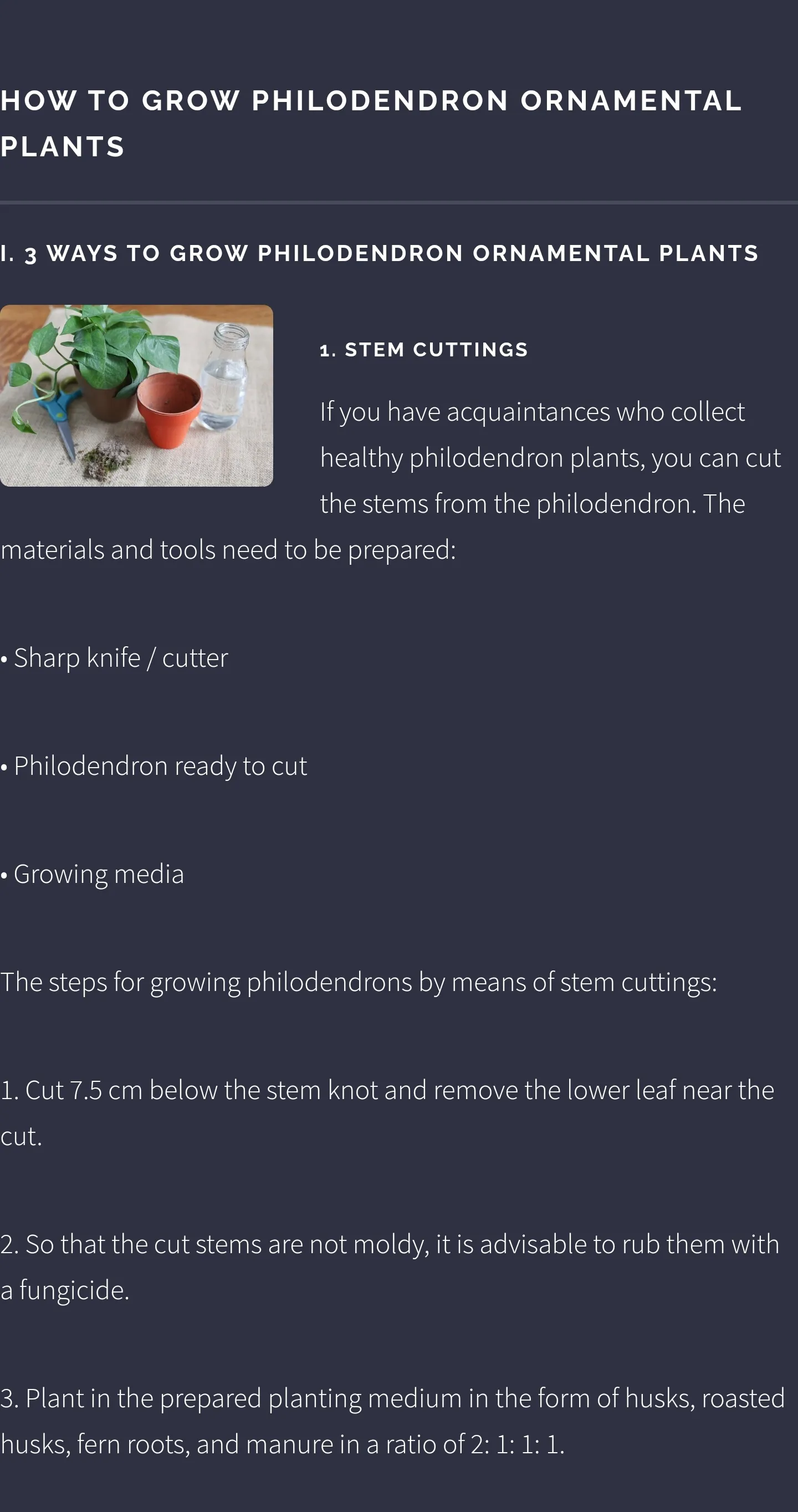 Philodendron Plant Guide | Indus Appstore | Screenshot