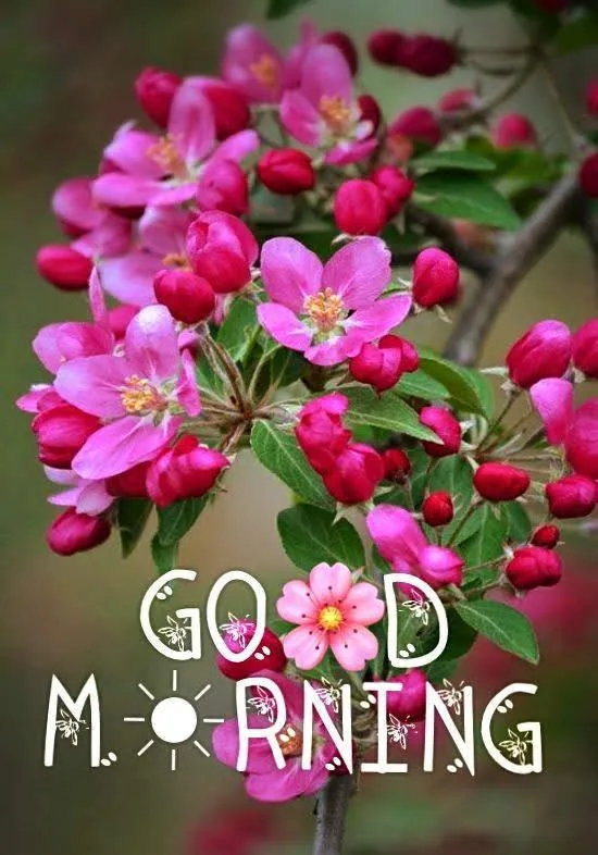 Good Morning & Good Night 2023 | Indus Appstore | Screenshot