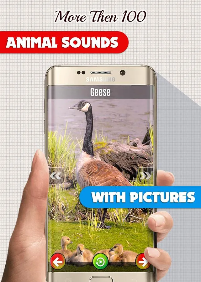 Animal Sounds: With Images | Indus Appstore | Screenshot