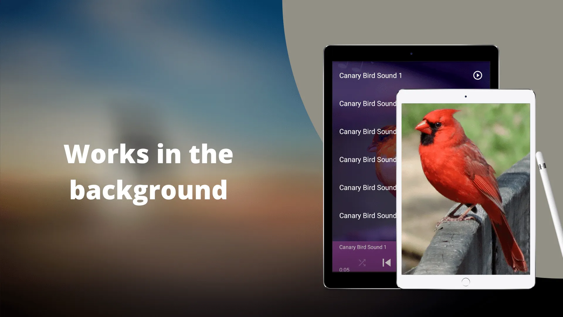 Canary Bird Sounds | Indus Appstore | Screenshot