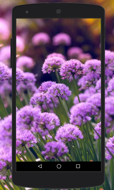 Flower Wallpapers | Indus Appstore | Screenshot