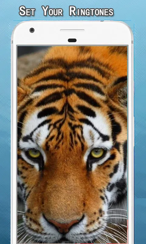 Tiger Sounds Ringtone | Indus Appstore | Screenshot