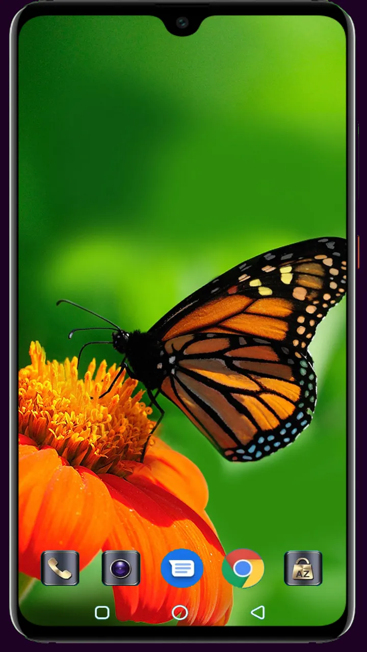 Butterfly Wallpaper | Indus Appstore | Screenshot