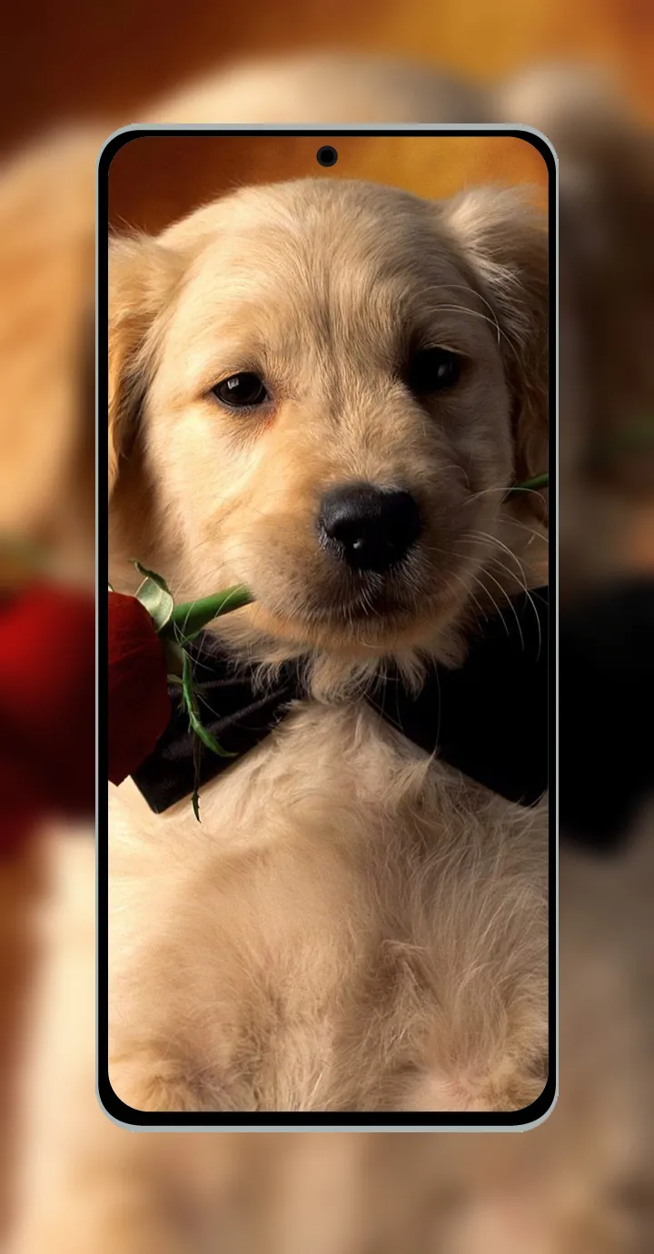 10000 Animals Wallpapers | Indus Appstore | Screenshot