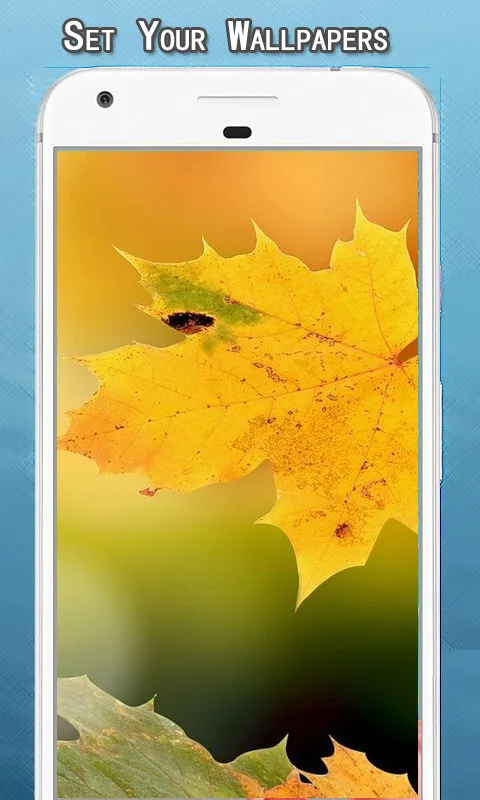 Autumn Wallpapers Hd | Indus Appstore | Screenshot