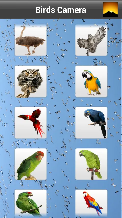 Birds Camera Frames | Indus Appstore | Screenshot