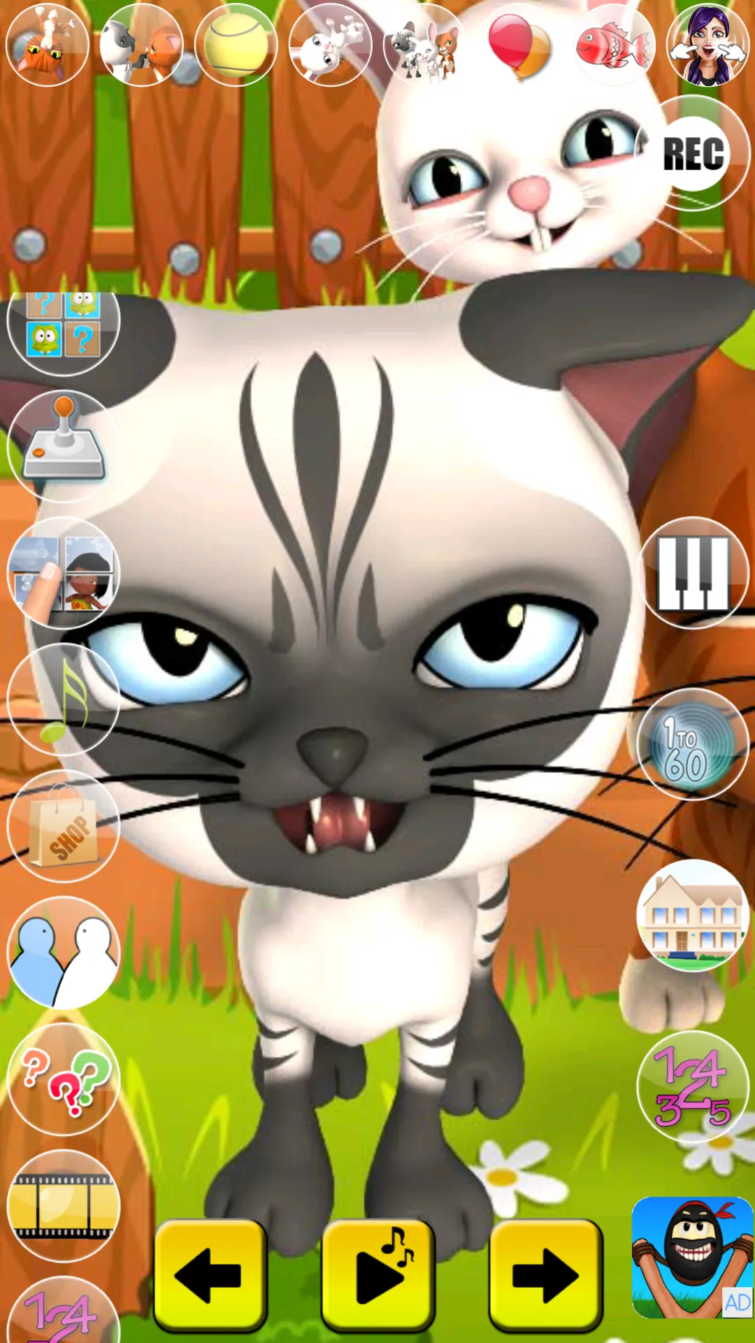 Talking Cat and Bunny | Indus Appstore | Screenshot