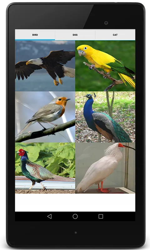 Animal Sounds (Bird,Dog,Cat) | Indus Appstore | Screenshot