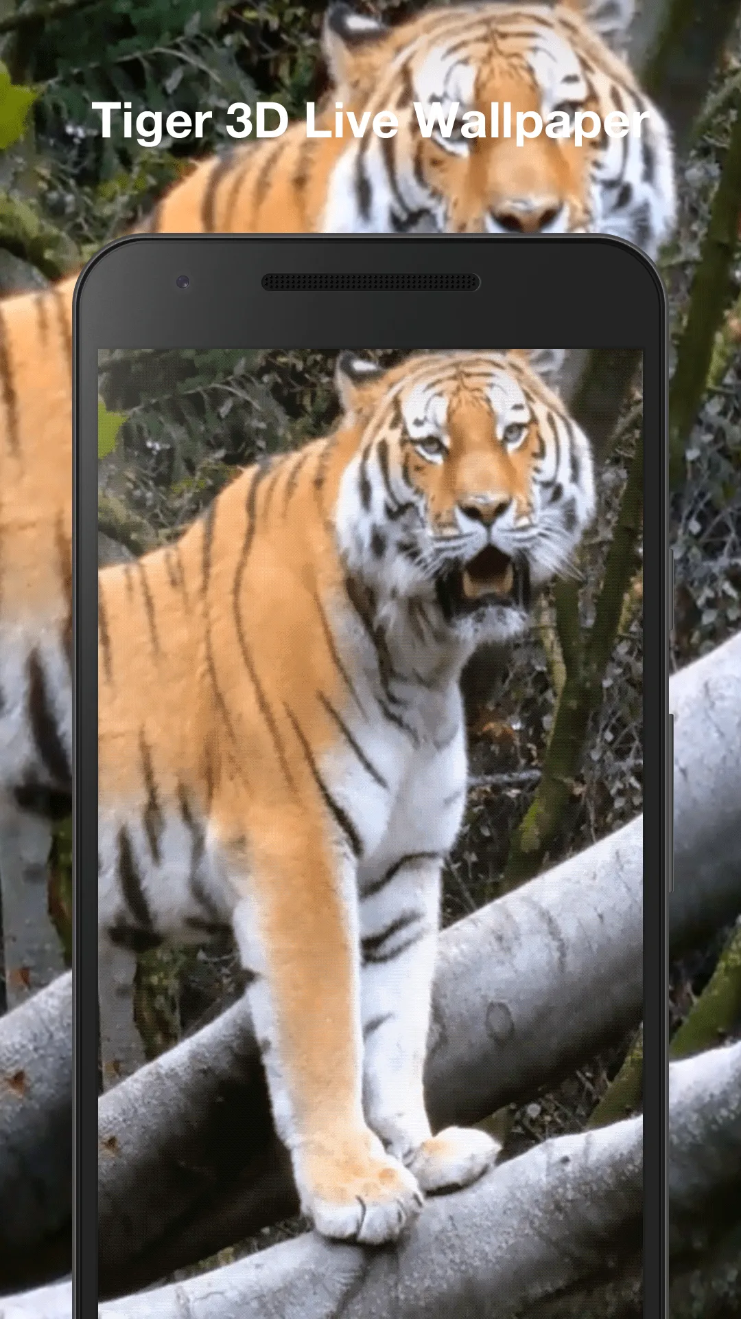 Tiger 3d Live Wallpaper | Indus Appstore | Screenshot